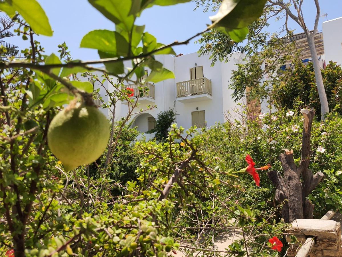 Vidalis Hotel Kionia Dış mekan fotoğraf