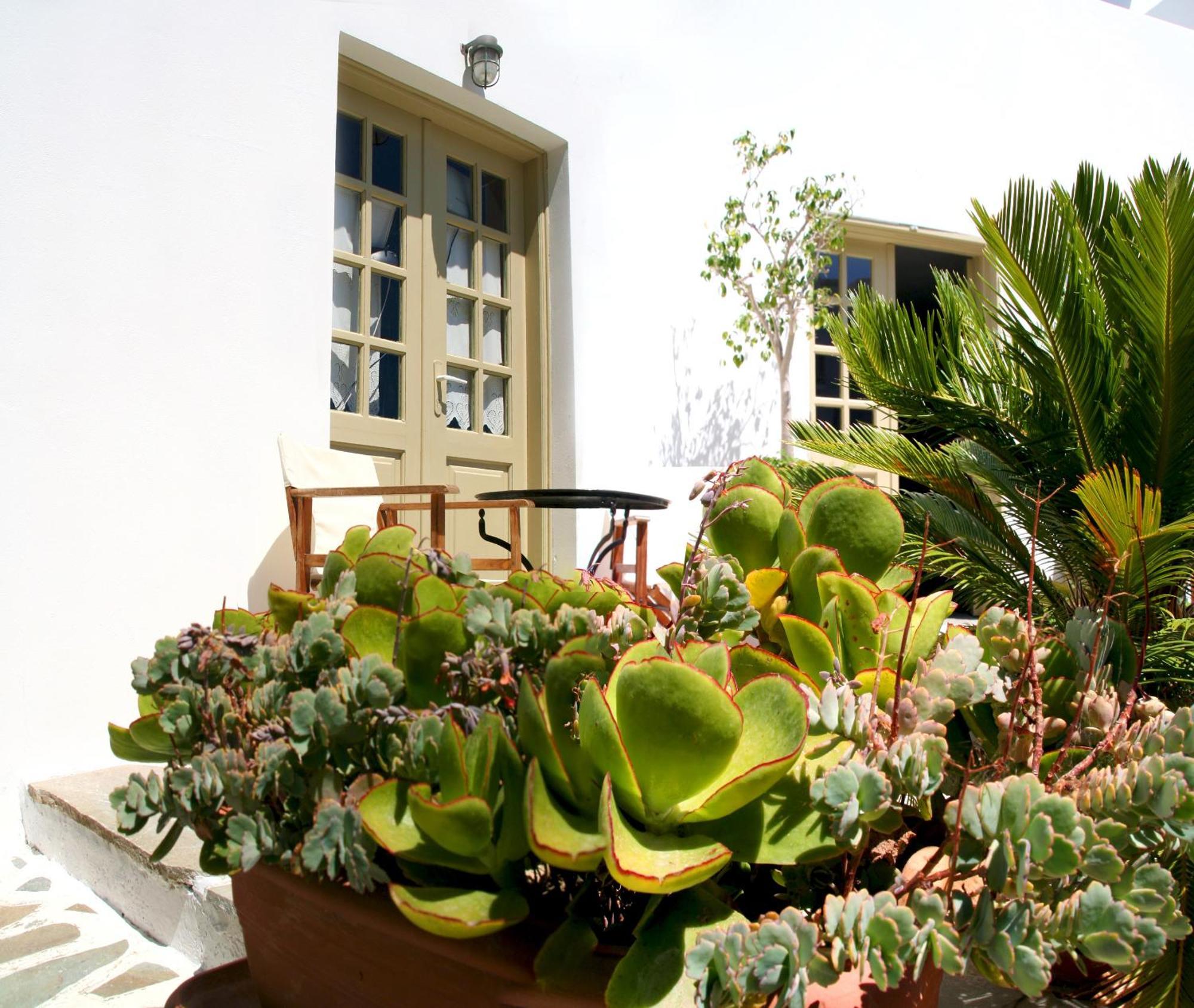 Vidalis Hotel Kionia Dış mekan fotoğraf
