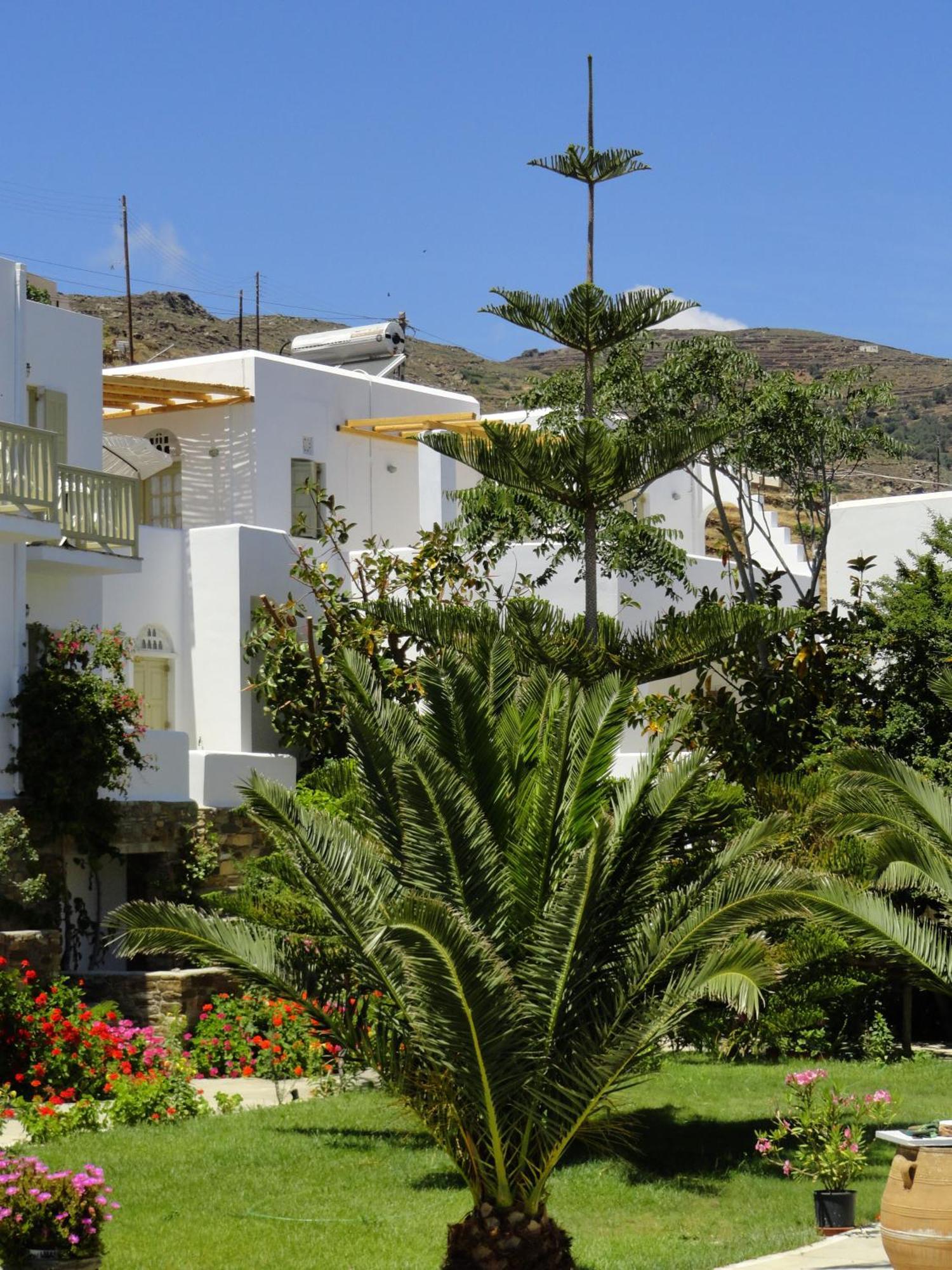 Vidalis Hotel Kionia Dış mekan fotoğraf